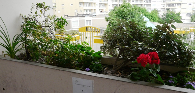 Jardiniere Jardiniere